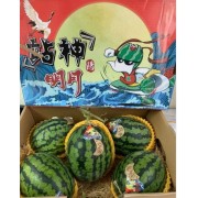 站神明月西瓜