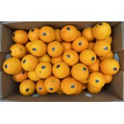 美國黑牌甜橙 5個