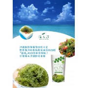 日本沖繩產海葡萄