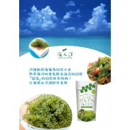 日本沖繩產海葡萄